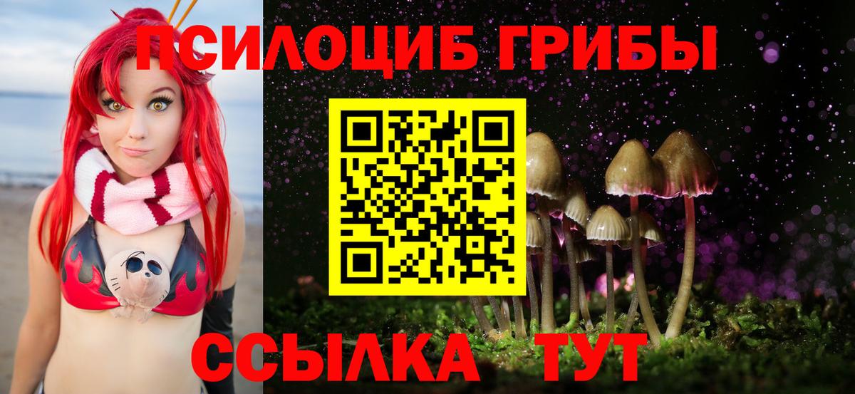 Псилоцибиновые грибы Саранск