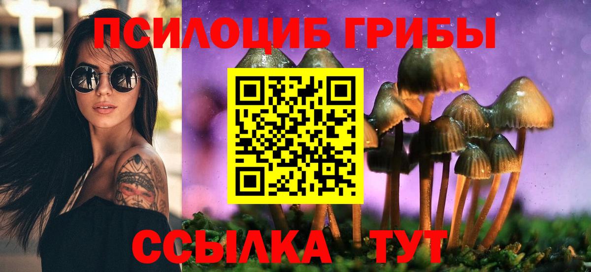 Псилоцибиновые грибы прущие грибы Саранск